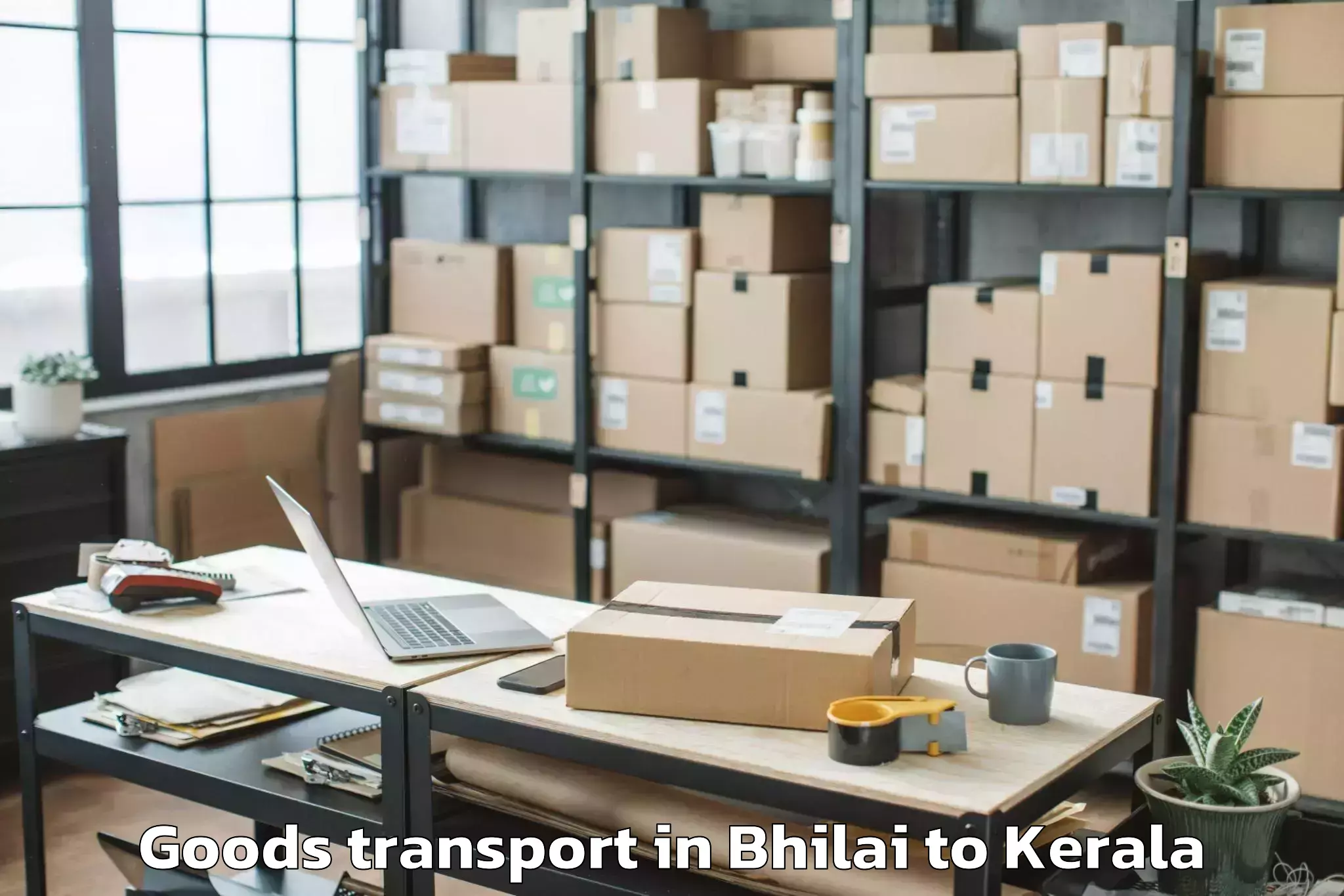 Hassle-Free Bhilai to Peravoor Goods Transport